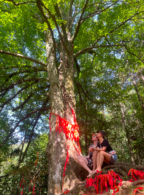 Xiaolin and I thinking and relaxing under a 1000-year-old tree in Simianshan.