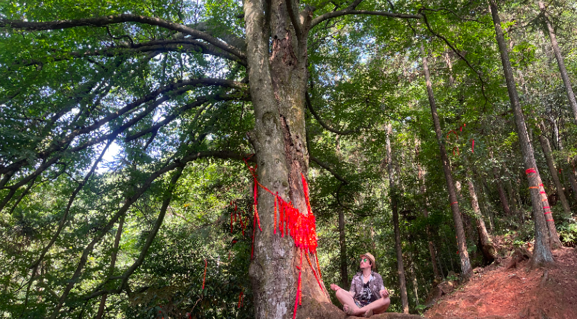 As Chongqing the Furnace Broils, We Pray for Rain