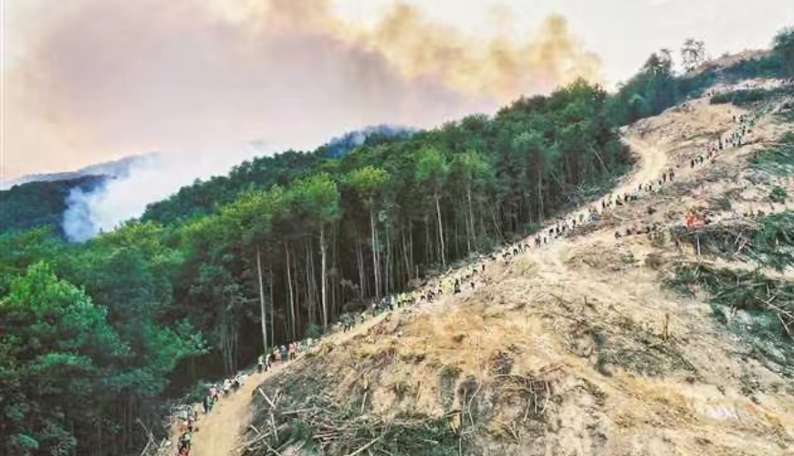 Volunteers formed a chain to transfer materials at the fire isolation zone in Jinyun Mountain on Aug 25.
