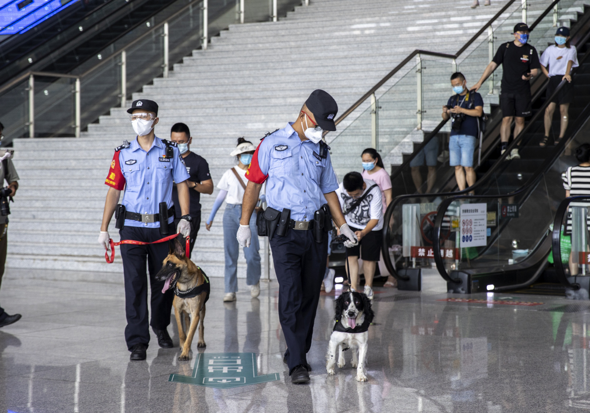 The police dogs working in Chongqing North Railway Station (Photo provided to iChongqing)