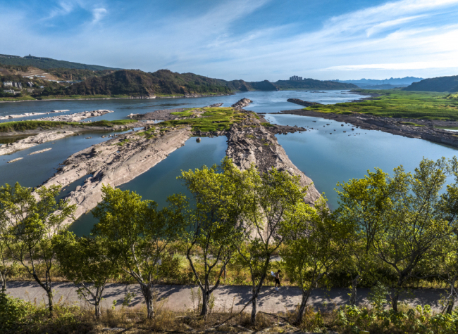 Guangyang Isle's Ecological Restoration Shows Good Results