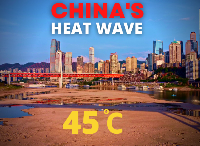 Global Warming and Heat Wave 2022 | An Investigative Interview