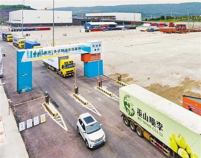 ILSTC Helps SW China's Chongqing in Exporting Agricultural Products Globally