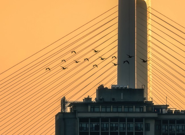 Visual Chongqing | Shadow of the Bridge