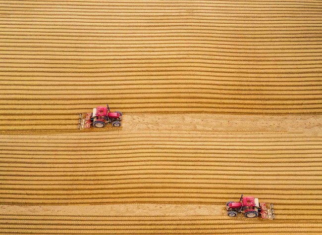 Visual Chongqing | Weekly City Views on Sep 19-25, 2022