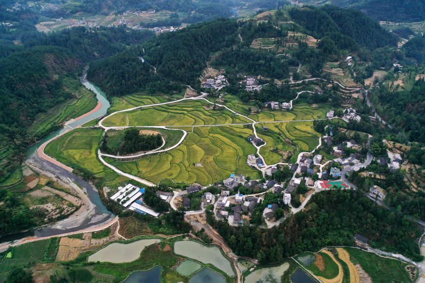 Ecological Rice Base of Taiji Town, Qianjiang District, Chongqing