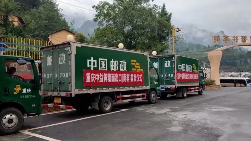 Export polygonatum noodles loaded for shipment.