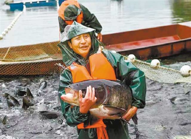 The Ecological Breeding Mode Benefits over 70 Reservoirs in Chongqing
