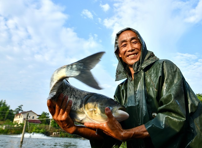 Chinese Farmers' Harvest Festival to Boost Agricultural Production and Consumption