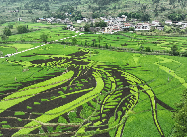Chongqing Fengdu Celebrates Harvest Festival with a Variety of Activities