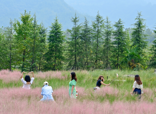 Visual Chongqing | Pink Flowers