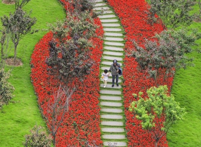 Visual Chongqing | Flowers Blooming Along the Trail