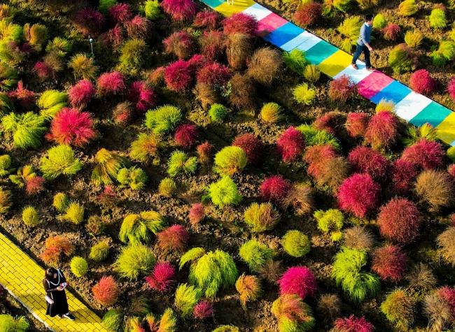 Visual Chongqing | Colorful Autumn Day