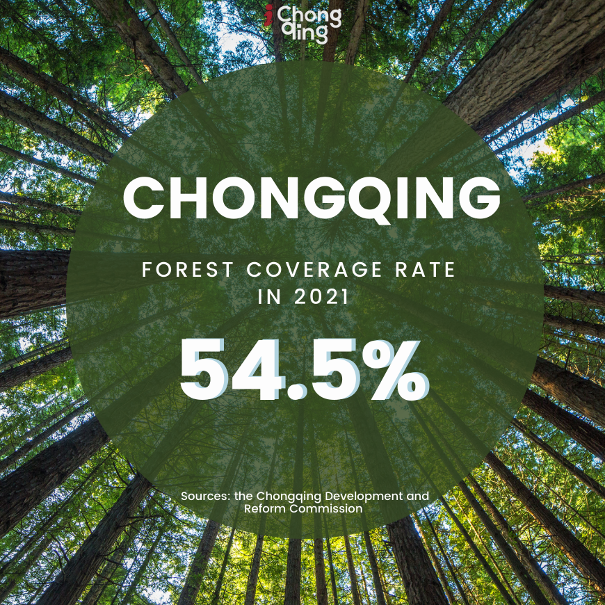 Chongqing's forest coverage rate increased to 54.5% in 2021.