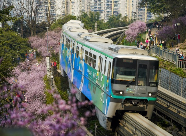 Seamless Public Transport System in Chongqing's Central Urban Area