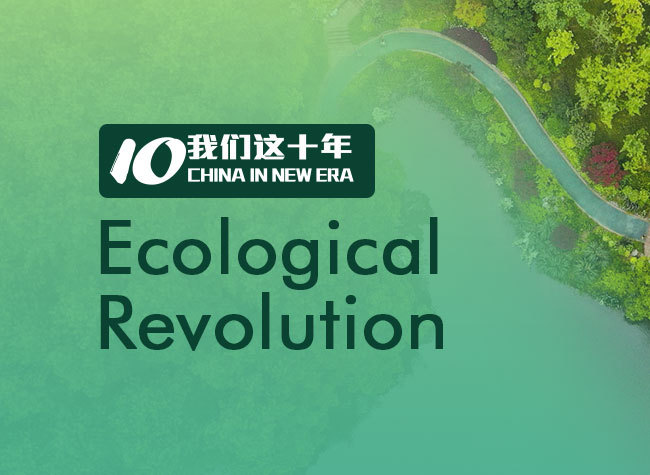 The Ecological Revolution of Chongqing