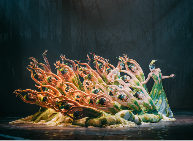 Yang Liping Brings Chinese Dance Drama 'The Peacock' to Chongqing