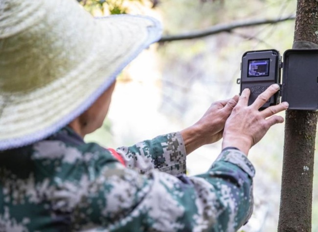Forest Rangers in Chongqing Help Better Protect Green Barrier | Story