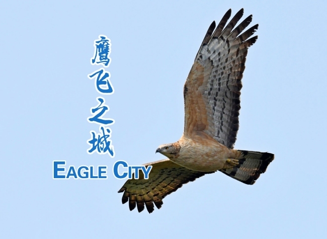 'Eagle City' Name Card Underscores Chongqing's New Status for Ecological Civilisation