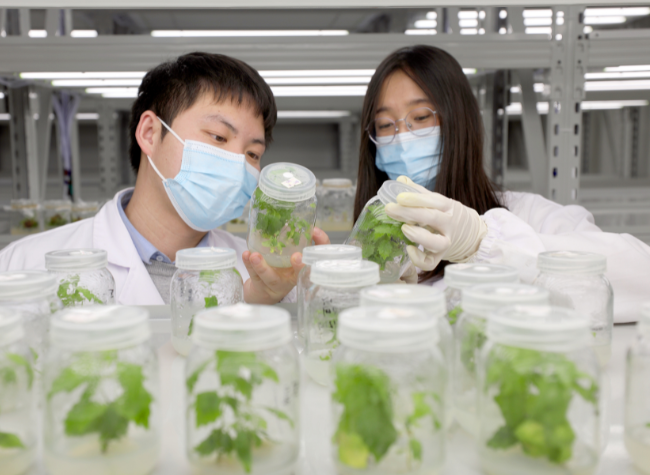 Chongqing Delivers Positive Results in Science and Education Development