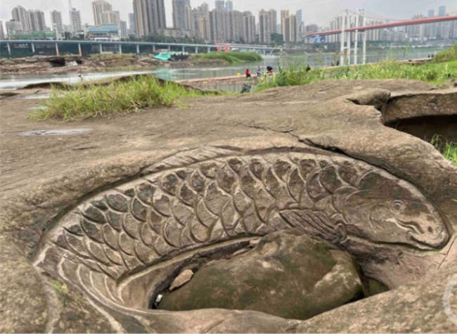 Unique 'Fish' Swim Along the Yangtze River on Nanbin Road