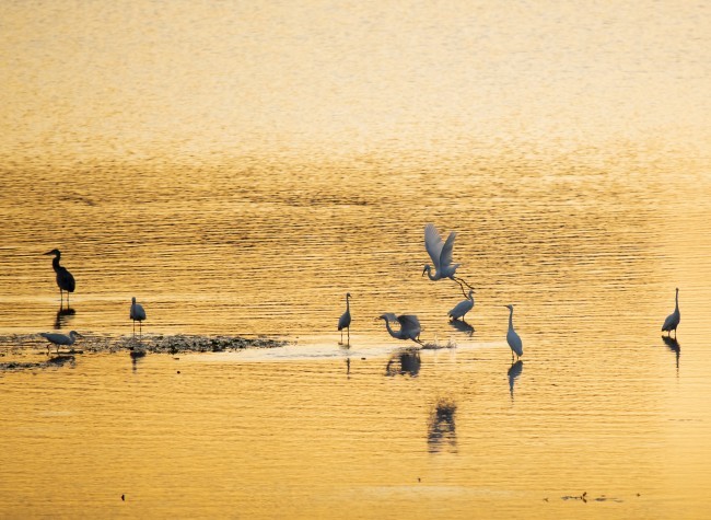 Visual Chongqing | Riverside