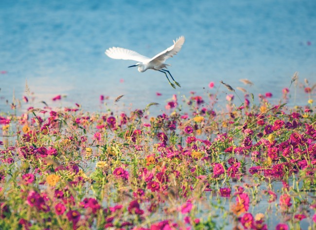 Visual Chongqing | Weekly City Views on Oct 24-30, 2022