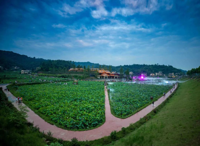 Chongqing Deepens Factors of Production Reform | CCI-FS Insights