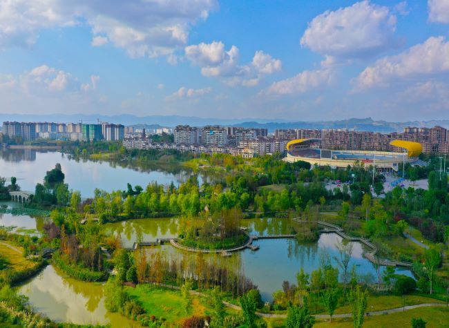 Local Wetland Restoration Efforts Gain International Recognition