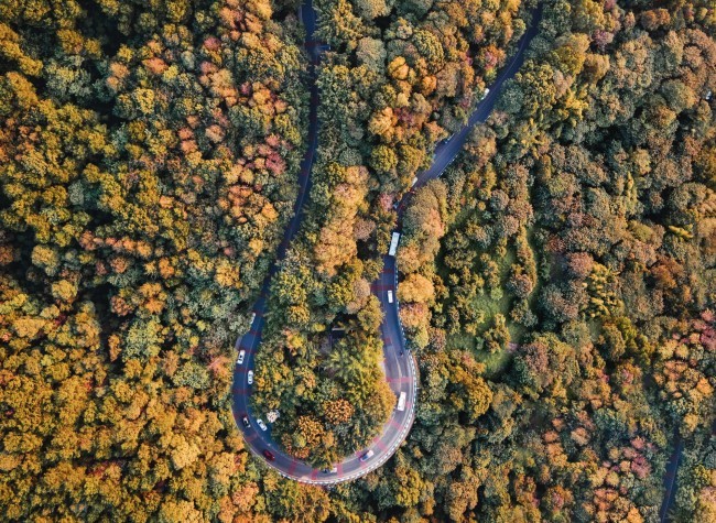 Visual Chongqing | Autumn scenery in Nanshan