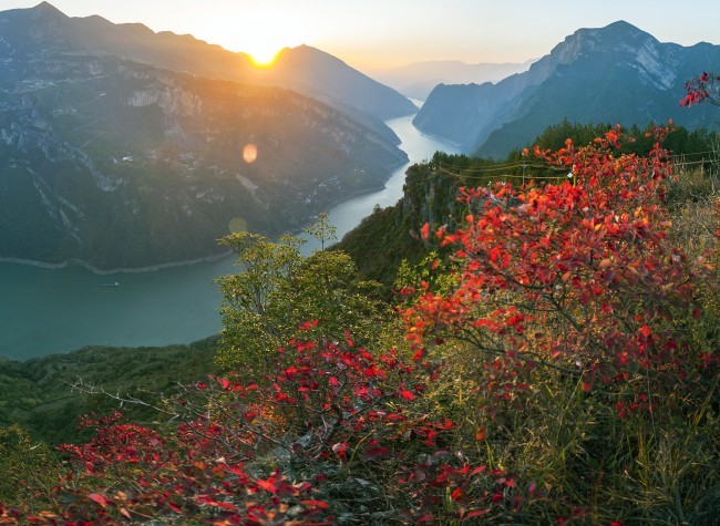 Visual Chongqing | Red Leaves of Wushan Mountain