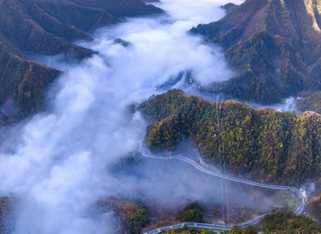 Visual Chongqing | Daba Mountain