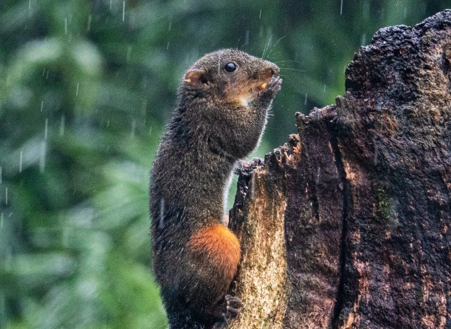 Visual Chongqing | Weekly City Views on Nov 21-27, 2022