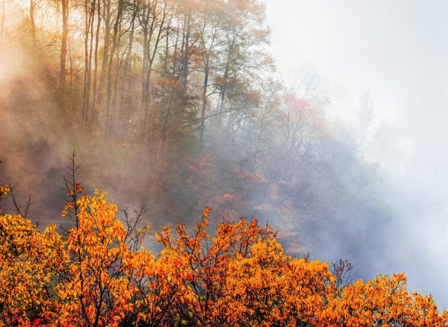 Visual Chongqing | Autumn in the Mountains