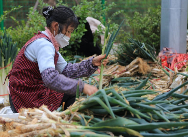 Touring Chongqing's Temporary Vegetable Market Under COVID-19 Epidemic丨Photo Story