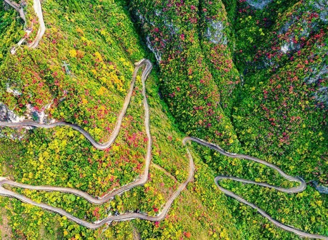 Visual Chongqing | The Scenery in Xiazhuang Village