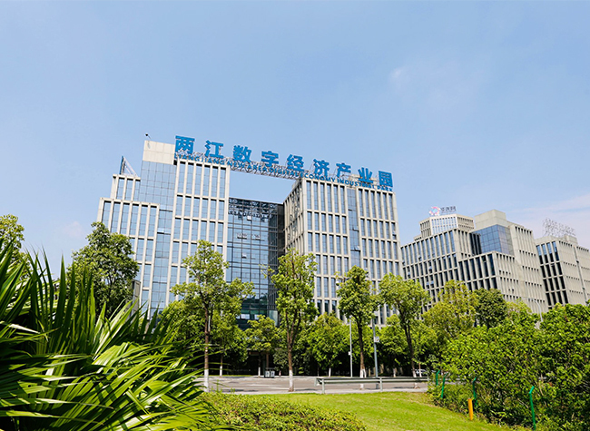 Digital Entertainment Metaverse to Promote the Development of Software and Information Service Industry, Says Company CEO