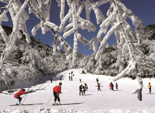 Let's Go! To Enjoy an Energetic and Joyful Winter in Chongqing