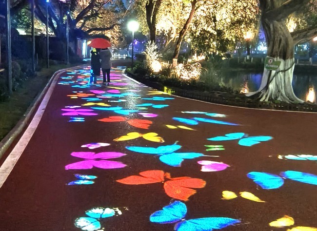 Visual Chongqing | Colorful Butterflies