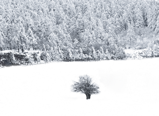 Visual Chongqing | Snow Scenery in Wulong