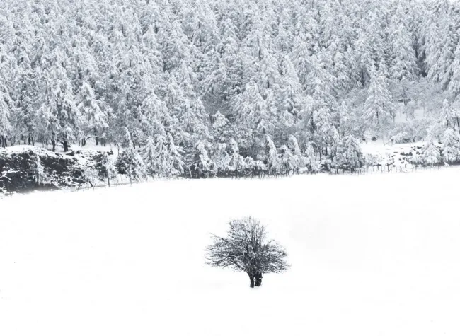 Visual Chongqing | Snow Scenery in Wulong