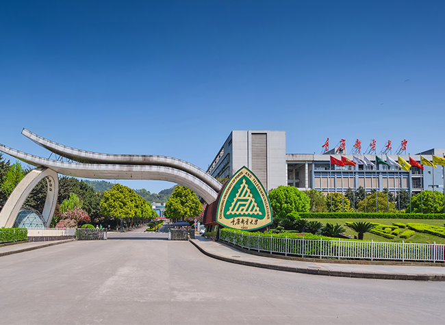 Chongqing Encourages Overseas Young Scholars to Apply for Funding