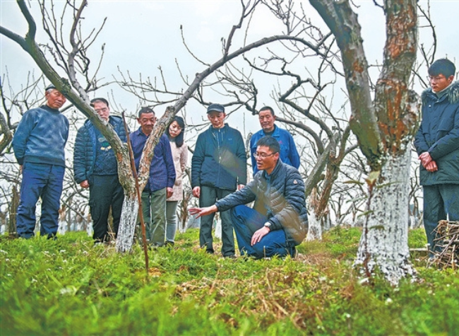 Experts' Advice and Technologies Help Improve Smart Agriculture in Chongqing