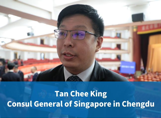 Singapore Taps Potential in Science and Innovation Cooperation with Chongqing | Chongqing Two Sessio