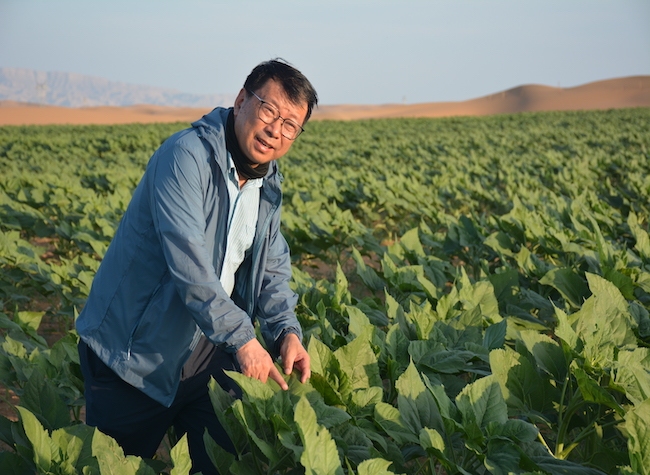 Chongqing's Desert Agricultural Transformation Project Shortlisted for
