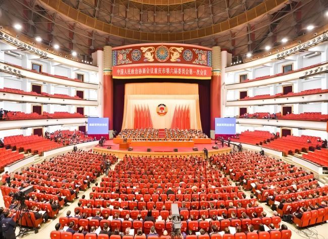 Chongqing Should Strengthen Economic and Trade Exchanges with Hong Kong丨Insights