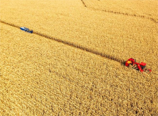 China Issues No. 1 Central Document for 2023, Highlights Tasks on Rural Vitalization