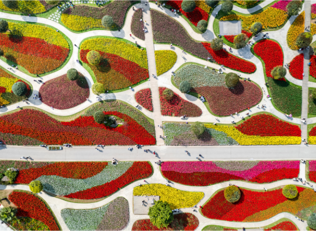 Visual Chongqing | Colorful Spring Map