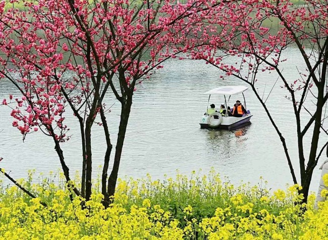 Visual Chongqing | Spring is in Full Bloom