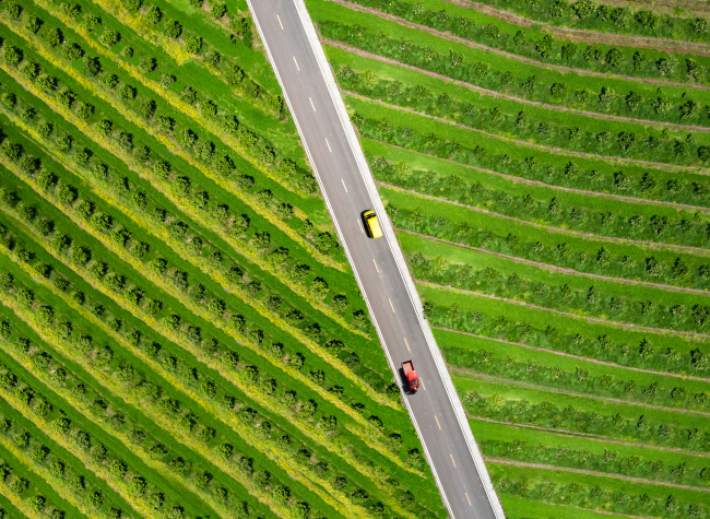 Visual Chongqing | Green Field
